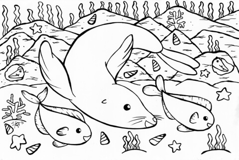 Seal Playing Coloring Page